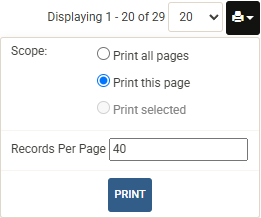 Printer Icon and its Sub-Menu